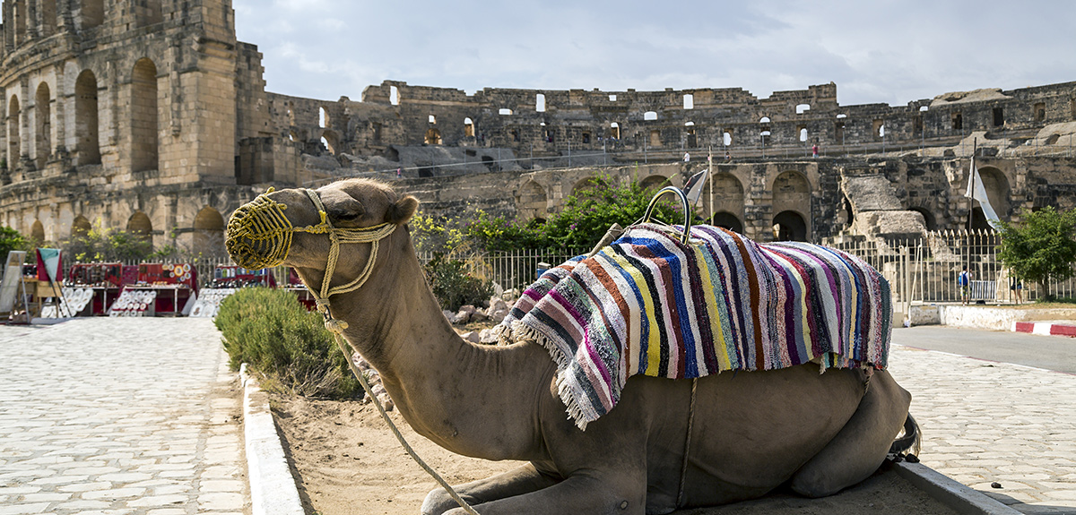 Tunisia Roman Amphitheater