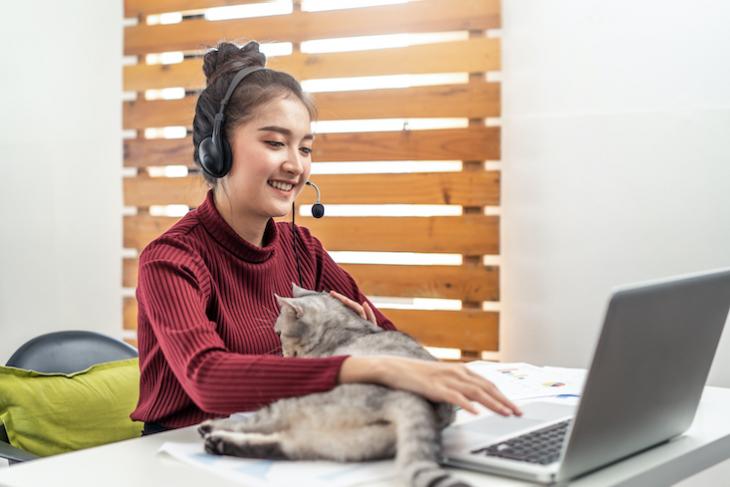 woman teaching online with a cat - how to teach in a different country